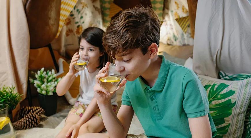 Попробуйте предложить детям домашние лимонады вместо сладкой газировки