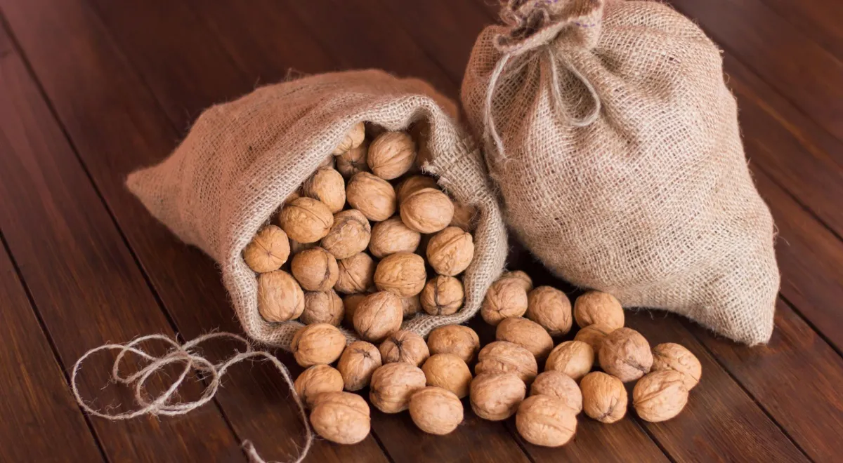 Вкус масла грецкого ореха сильно влияет свежесть исходного сырья, так как продукт из только что собранных и тщательно отобранных орехов отличается более чистым вкусом