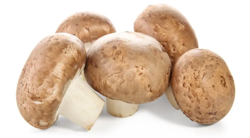 Шампиньоны кремени