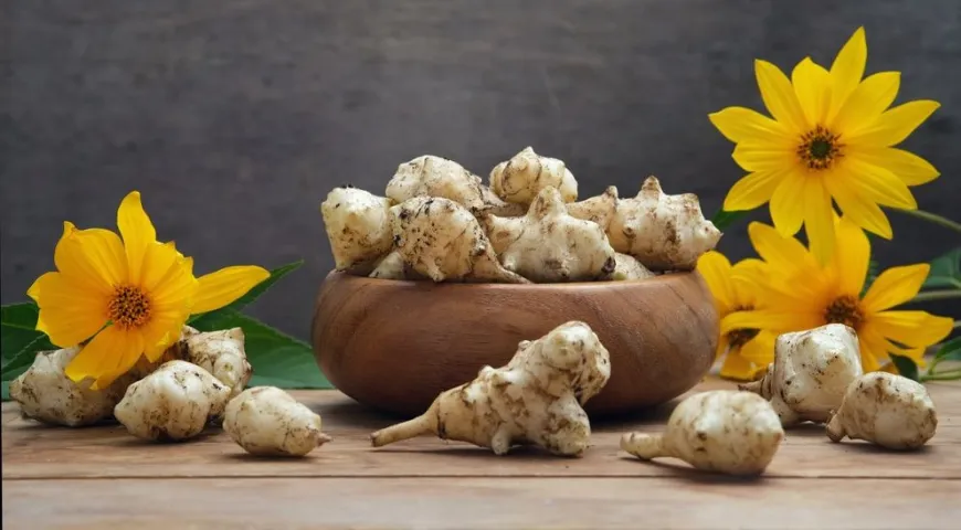 Инулин в составе топинамбура является пребиотиком и влияет на метаболические процессы через поддержку микробиоты кишечника 