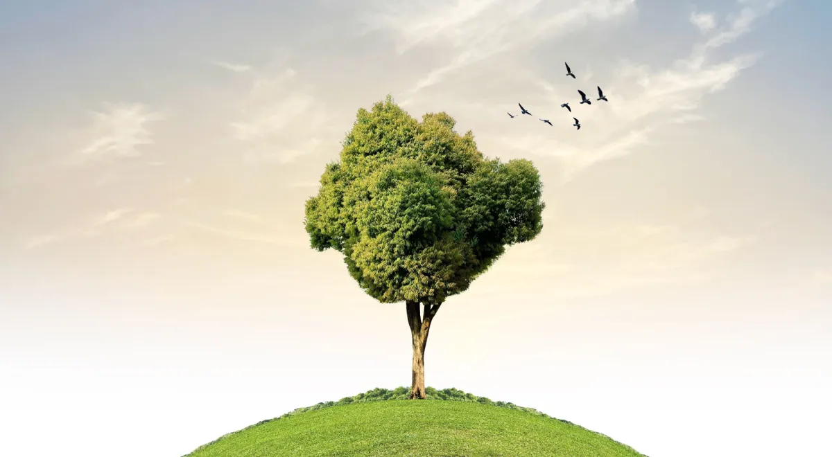 Международный день Земли в 2025 году: история и традиции праздника