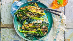 Рецепты с баклажаном и крупой