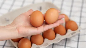 5 мифов о яйцах: правда ли их нужно мыть, а коричневые полезнее белых