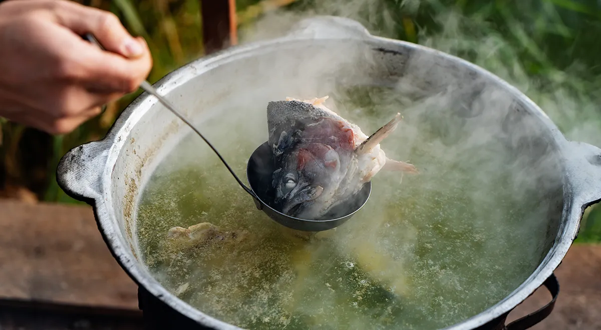 Рыбакам и не только: как приготовить вкусную уху из пескарей, ершей и  прочей мелочи — читать на Gastronom.ru