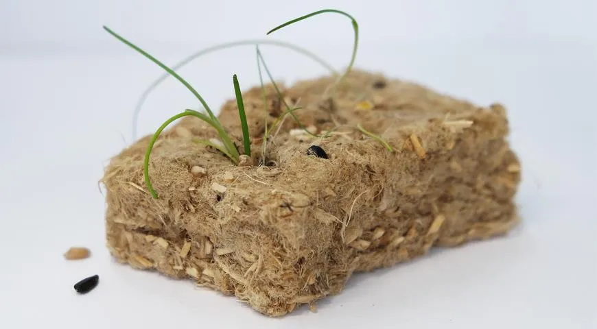 Проект Biosponge (губка для мытья посуды из пеньки, из которой со временем прорастает трава), участник James Dyson Award