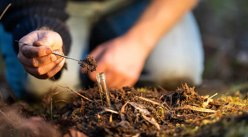 Сертификационные органы проверяют даже состояние почвы органического виноградника