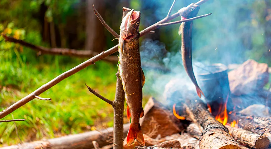 В Сибири и на Дальнем Востоке таймень готовят на костре