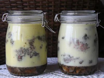 Учимся готовить с Наташей Скворцовой – конфи из утки