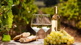 Винью верде (Vinho Verde) из Португалии: что это за вино и как его лучше пить