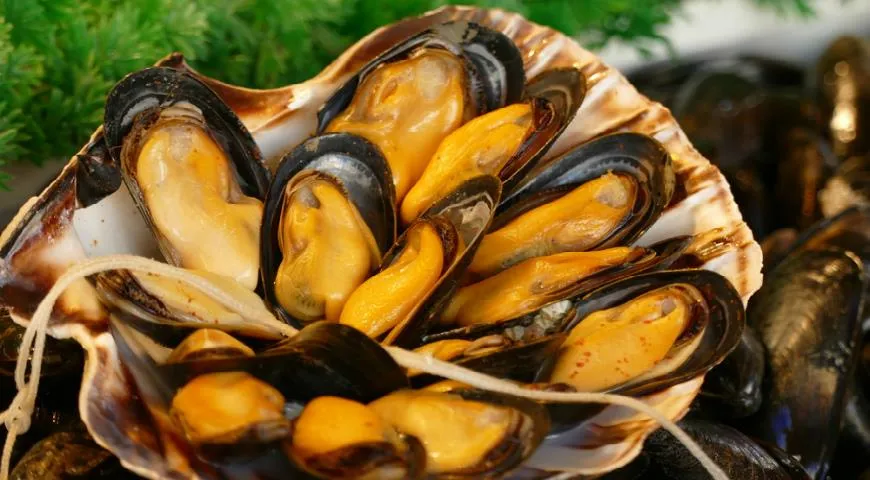 Двустворчатые моллюски - описание продукта, как выбирать, как готовить,  читайте на Gastronom.ru