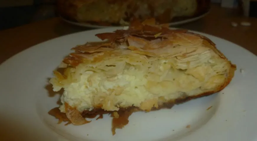Меджимурская гибаница