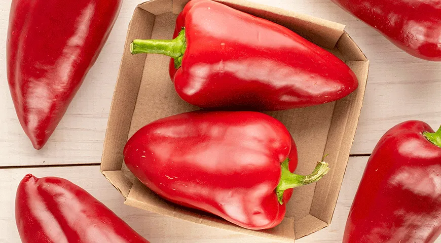 Главные вкусы августа: 4 продукта и 15 рецептов, которые нужно успеть попробовать