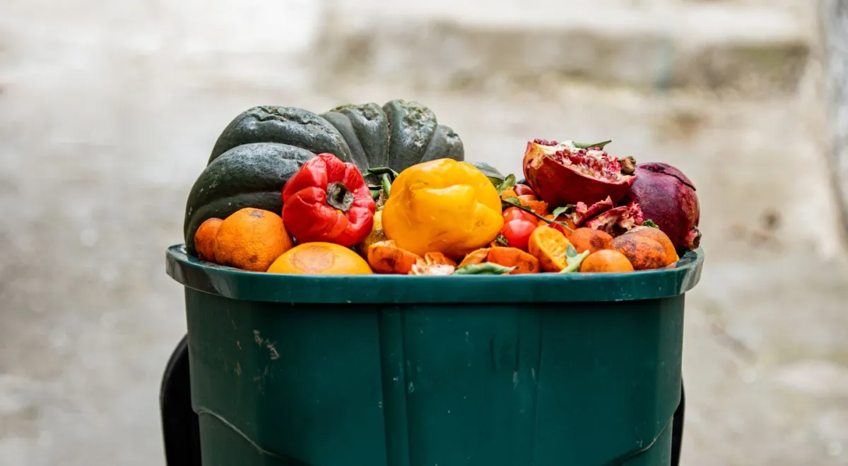 Еду начали делать из пищевых отходов: почему это становится массовым трендом