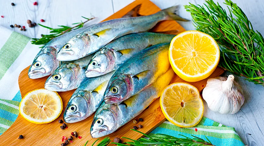 В России первое массовое знакомство с луфарем произошло в XIX веке после освоения черноморского побережья