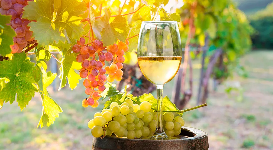 Рекомендуемая суточная норма потребления белого сухого вина для взрослого составляет не более 150 миллилитров (1 бокал)