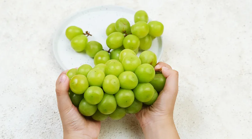 Ягоды качественного винограда Шайн Мускат обязаны быть калиброванными, крупными, слегка вытянутыми, с глянцевой кожицей насыщенного салатового или чуть золотистого оттенка