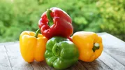 Красный, желтый или зеленый? Эксперты сообщили, перец какого цвета содержит больше витаминов