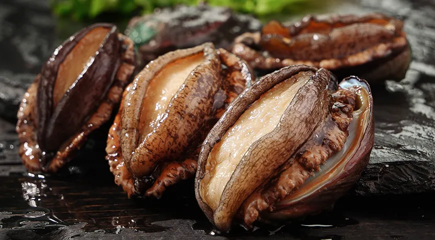 Главный признак свежести морского ушка — упругость и целостность моллюска