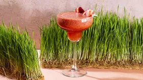 Рецепты с лёгкими и текилой