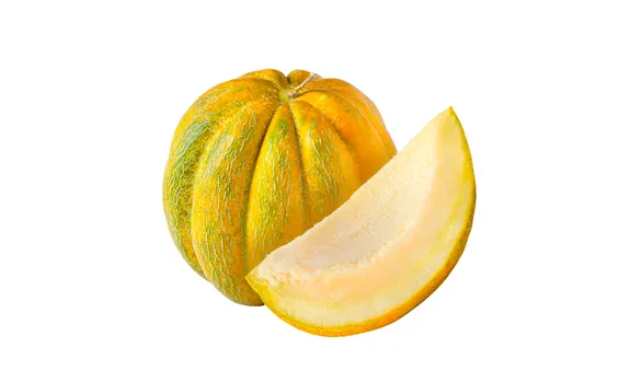 Дыня Эфиопка