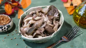 Соленые вешенки
