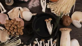 Какие грибы запрещено покупать с рук — в Роспотребнадзоре призвали не рисковать