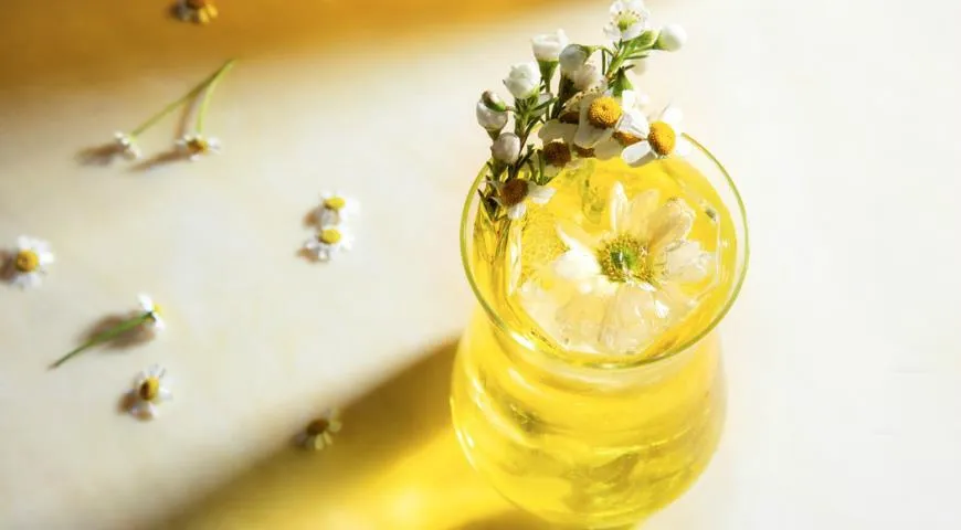 Бар Ботанист