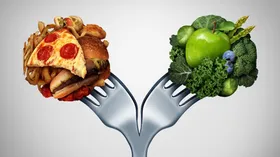 Диета для снижения уровня холестерина: какие продукты помогут вывести опасные жиры из организма?