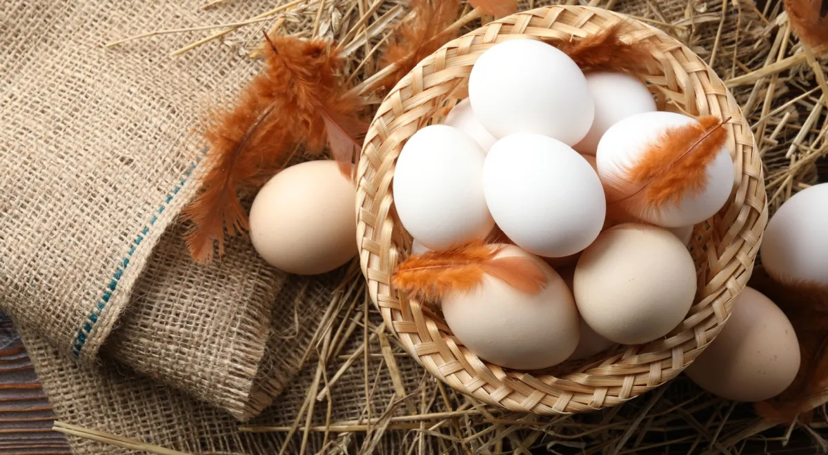 Россиян предупредили о рисках покупки яиц к Пасхе на стихийных рынках