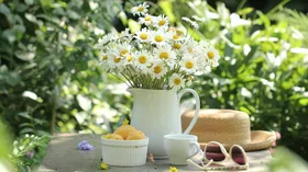 День дачника в 2025 году: история и традиции праздника