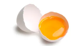 Желток куриного яйца