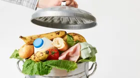 Продукты из мусора – новый гастрономический тренд