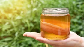 Эксперты назвали квашеную капусту, чайный гриб и еще несколько продуктов, которые помогут похудеть