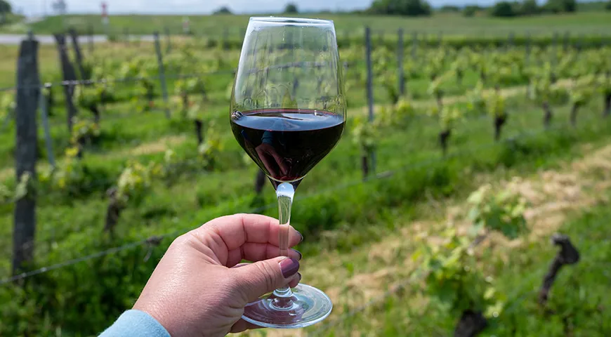 Родина кагора — регион Каор на юго-западе Франции