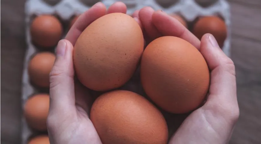 Сколько белка в яйце?
