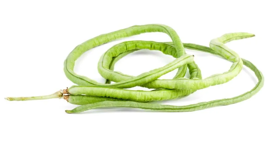 Длинная китайская фасоль - описание продукта, как выбирать, как ...