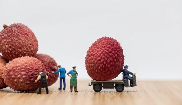 Как и с чем есть экзотическое личи