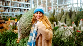 Как выбрать живую елку на Новый год и за сколько дней покупать