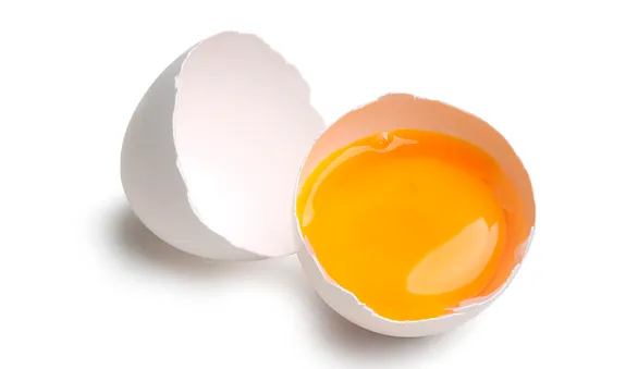 Желток куриного яйца