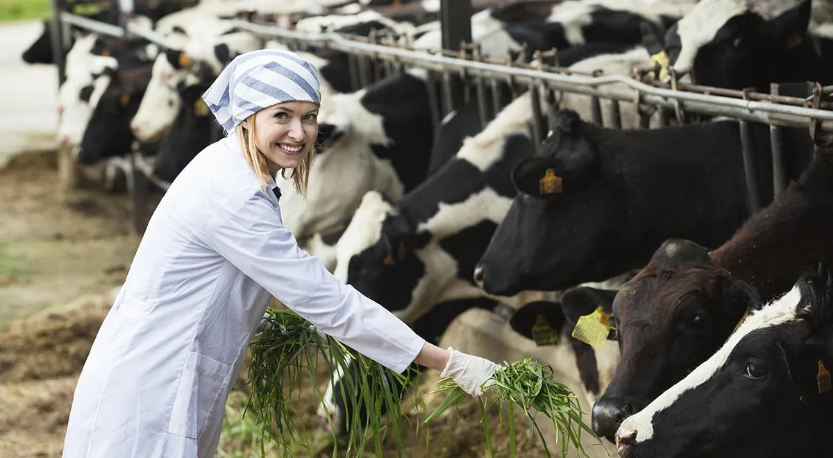 Фермерские продукты: зачем они крупным торговым сетям, а главное, зачем покупателям?