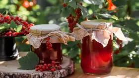 Нужны лишь ягоды и сахар: как сделать желе из красной смородины без варки
