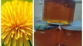 Одуванчиковый мед (варенье из одуванчиков)