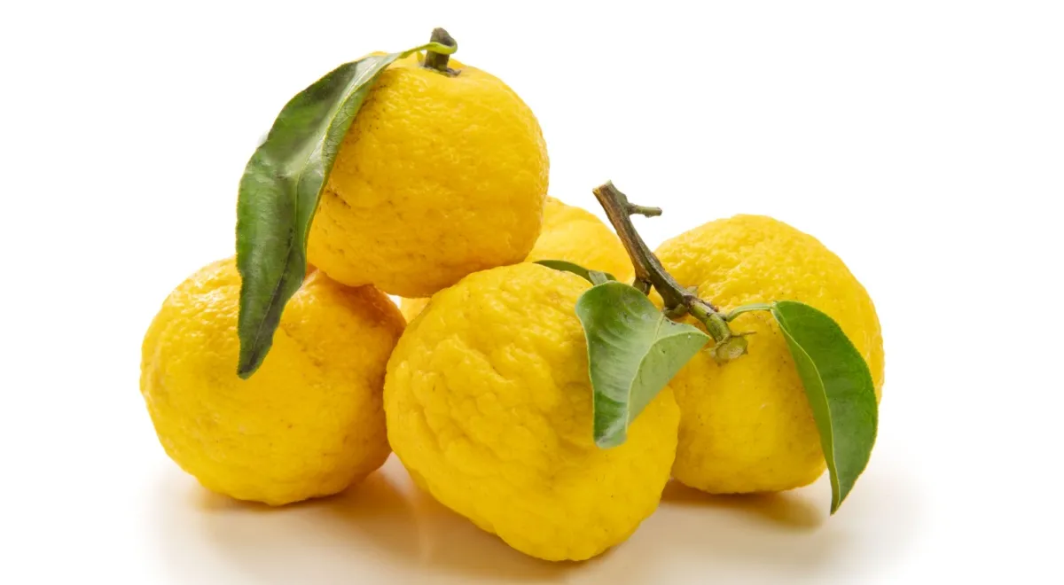 Юдзу, фрукт