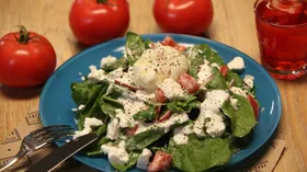 Рецепты со шпинатом, яйцом и рассольными сырами