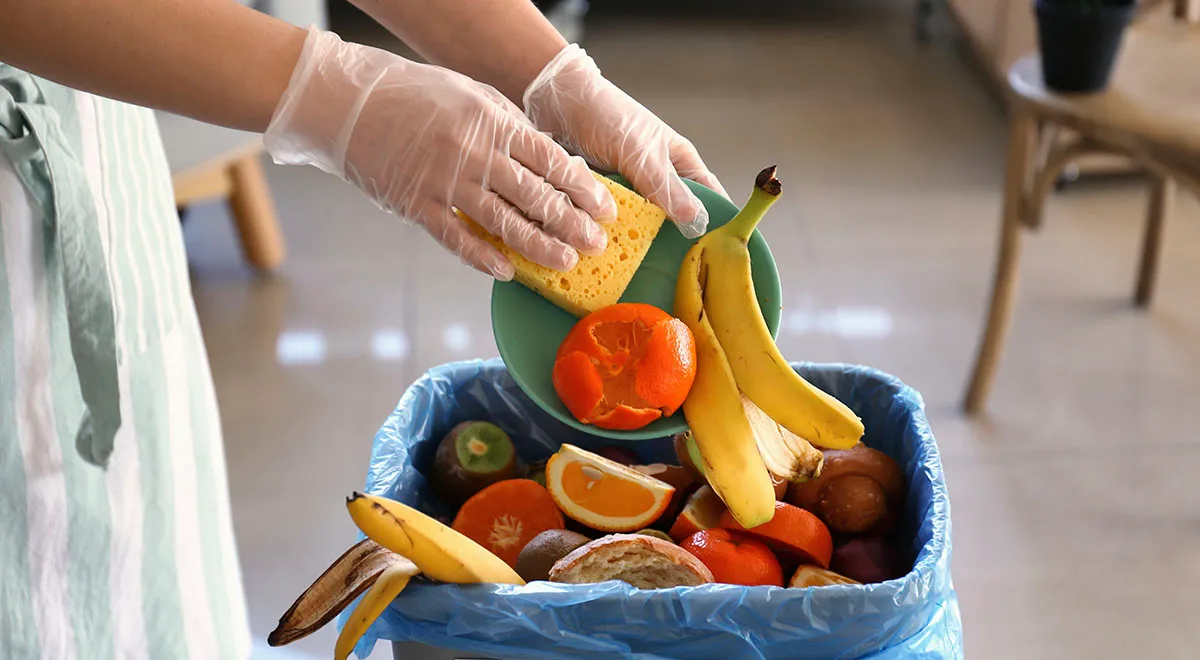 Продовольственные потери: что это такое, как перестать выбрасывать еду, кто такие фудсейверы и где на них учат