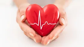 Самый ценный продукт для сердца и сосудов назвала врач