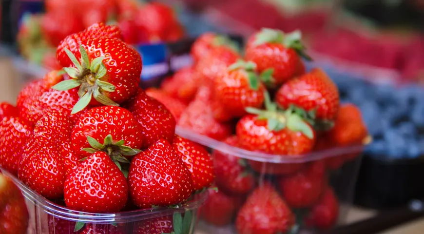 В Россию импортируется как ранняя клубника, выращенная в грунте, так и урожай, собранный в теплицах