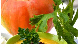 Простые рецепты с маслом оливковым и тыквой