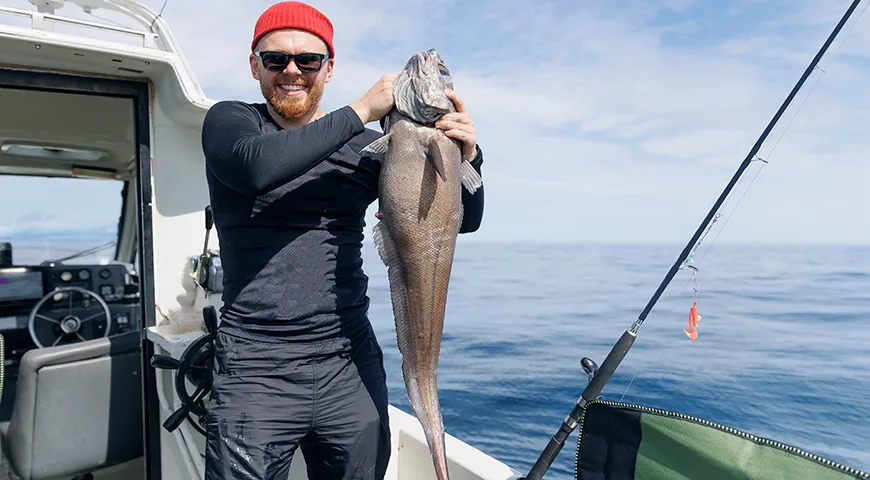 Макрурус длиннохвостый (Coryphaenoides rupestris)