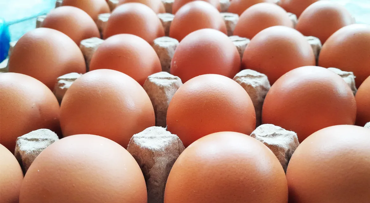 Как определить свежесть яиц, не разбивая их